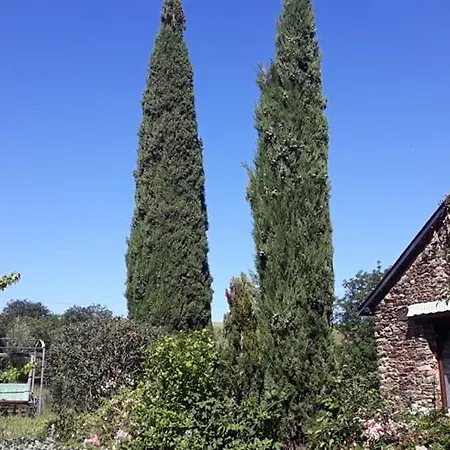 Gite Au Ferme De Lavande *